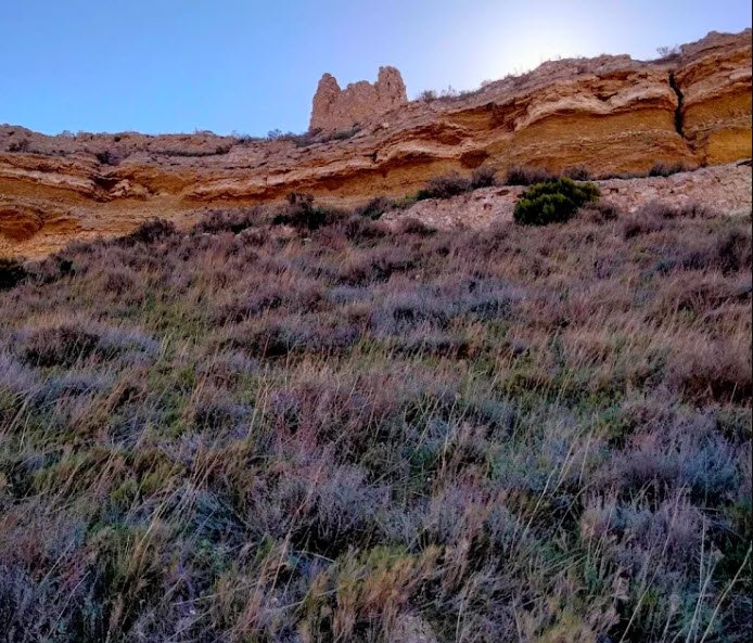 Peñaflor Castle, Spain